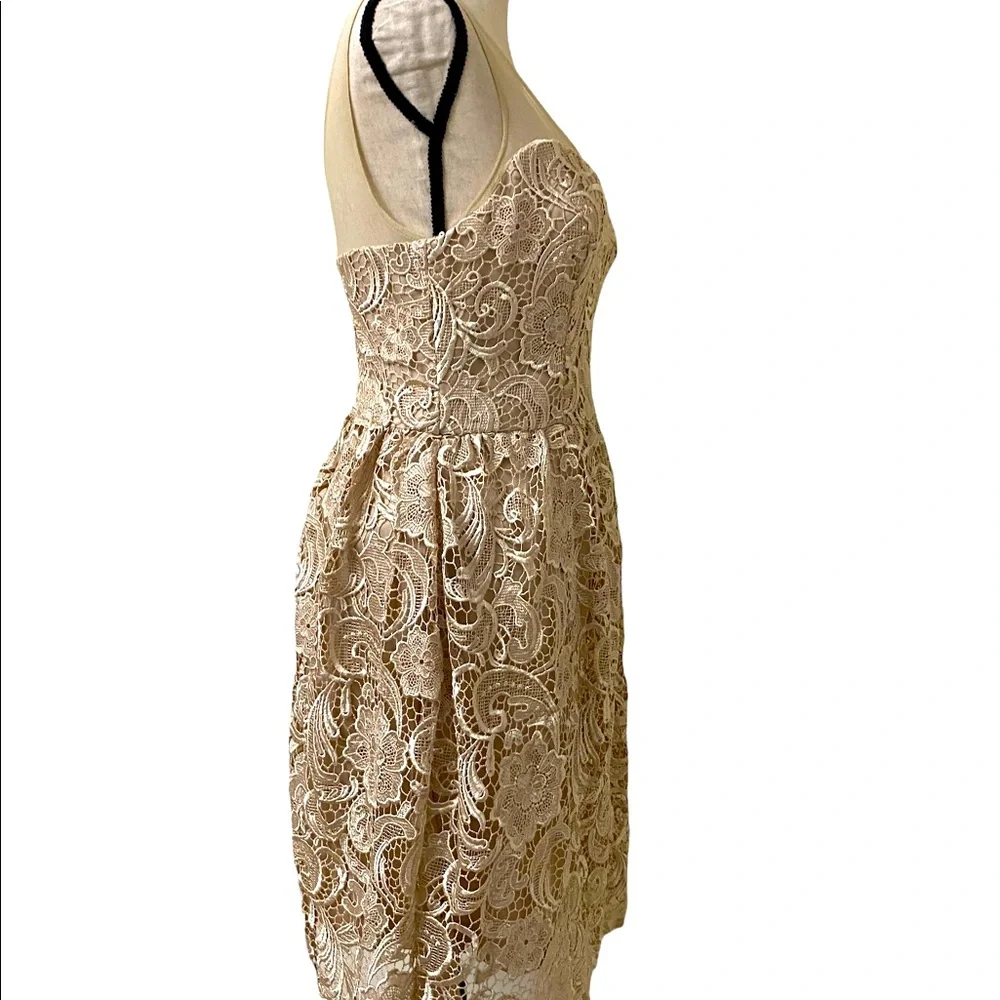ADRIANNA PAPELL Lace Illusion Midi Size 4 - Picture 7 of 15
